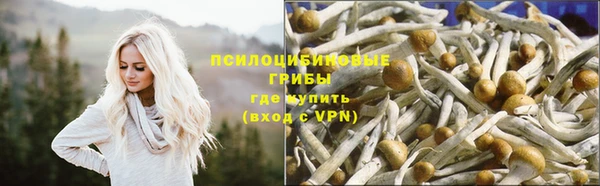 шишки Гусев