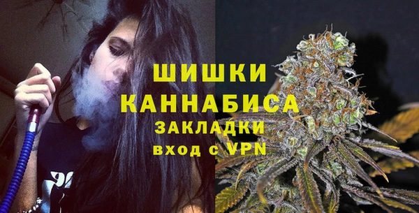 шишки Гусев