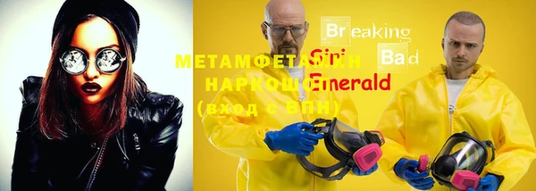 шишки Гусев