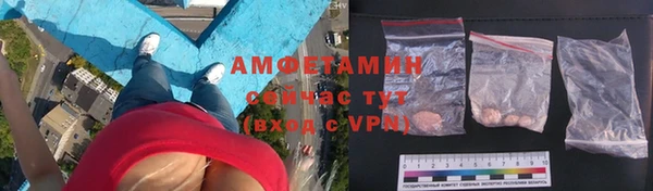 шишки Гусев