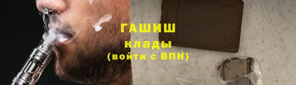 шишки Гусев