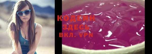 шишки Гусев