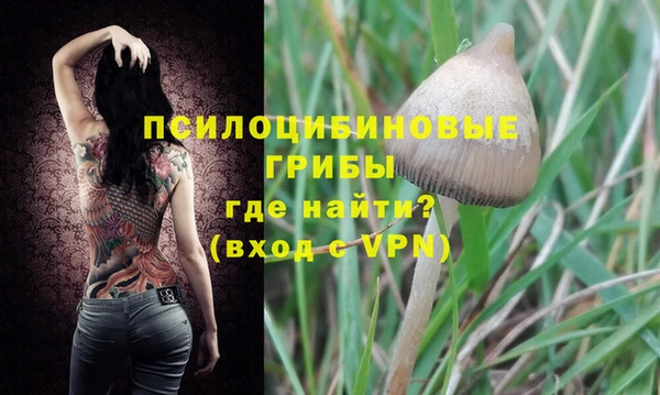 шишки Гусев