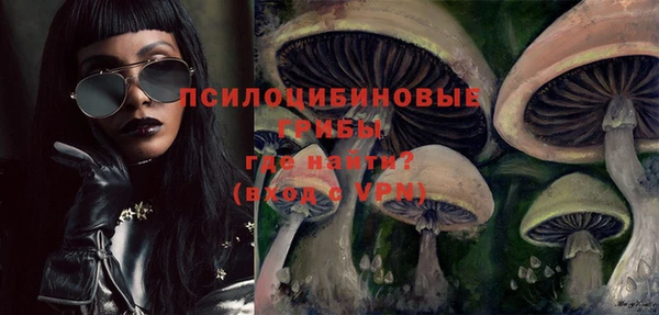 шишки Гусев