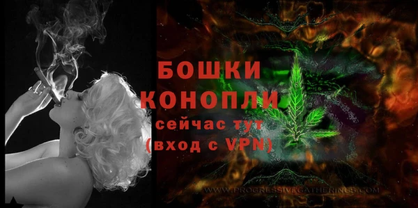 шишки Гусев