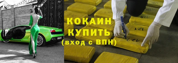 шишки Гусев