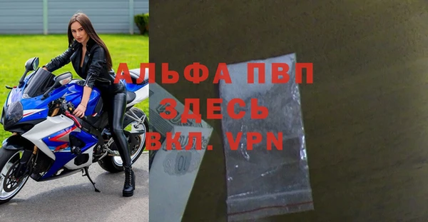 шишки Гусев