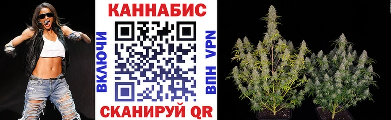Купить где  Никольское  Бошки Шишки семена 